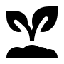 life-at-ruifen